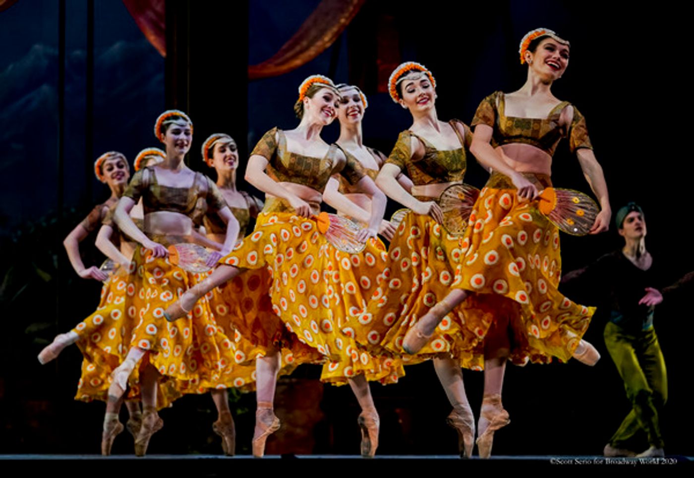 BWW Previews: LA BAYADERE at The Academy Of Music  Image