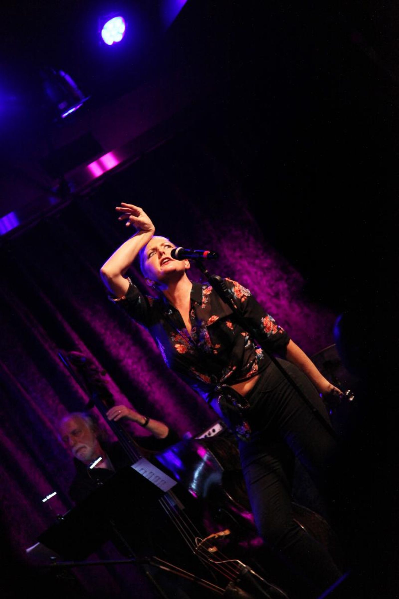 Review: THE LINEUP WITH SUSIE MOSHER Celebrates Women's History Month at The Birdland Theater  Image