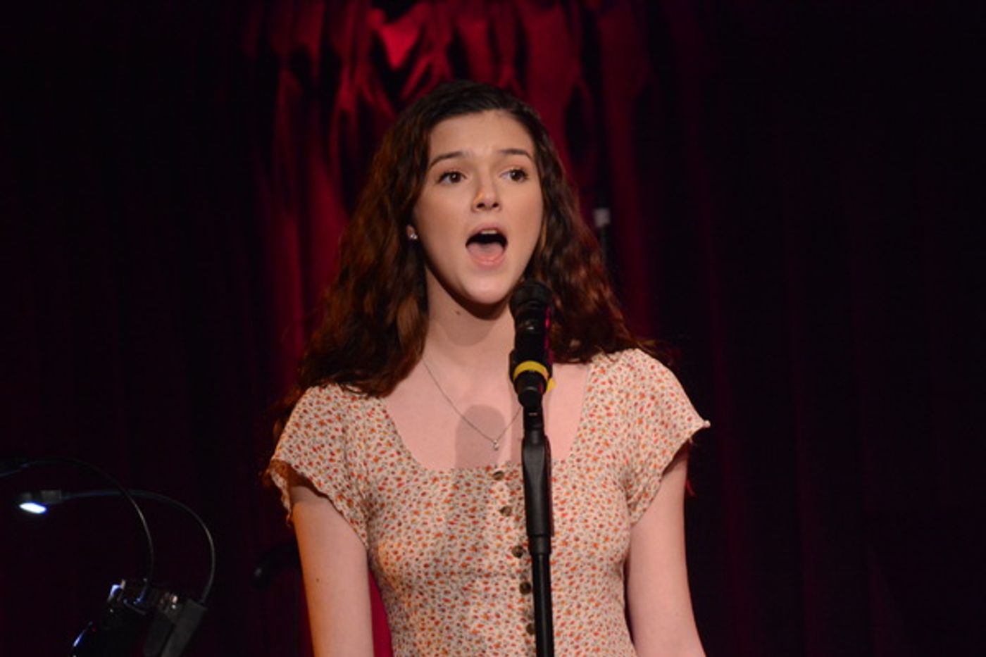 Photo Coverage: FROM DREAMS TO BROADWAY at The Green Room 42  Image