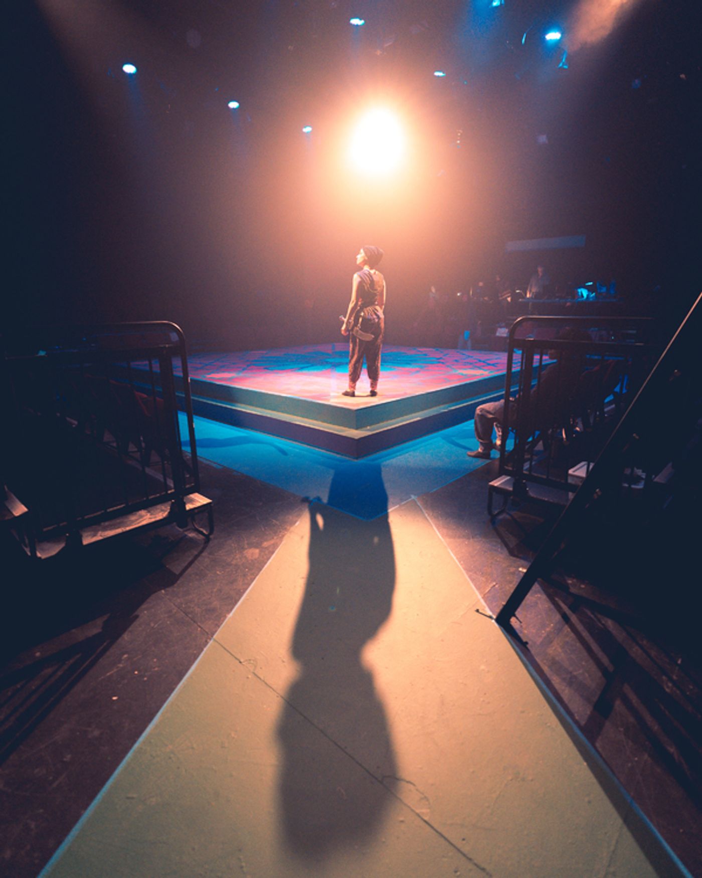 Photo Flash: First Look at HOUSE OF JOY at San Diego Rep  Image