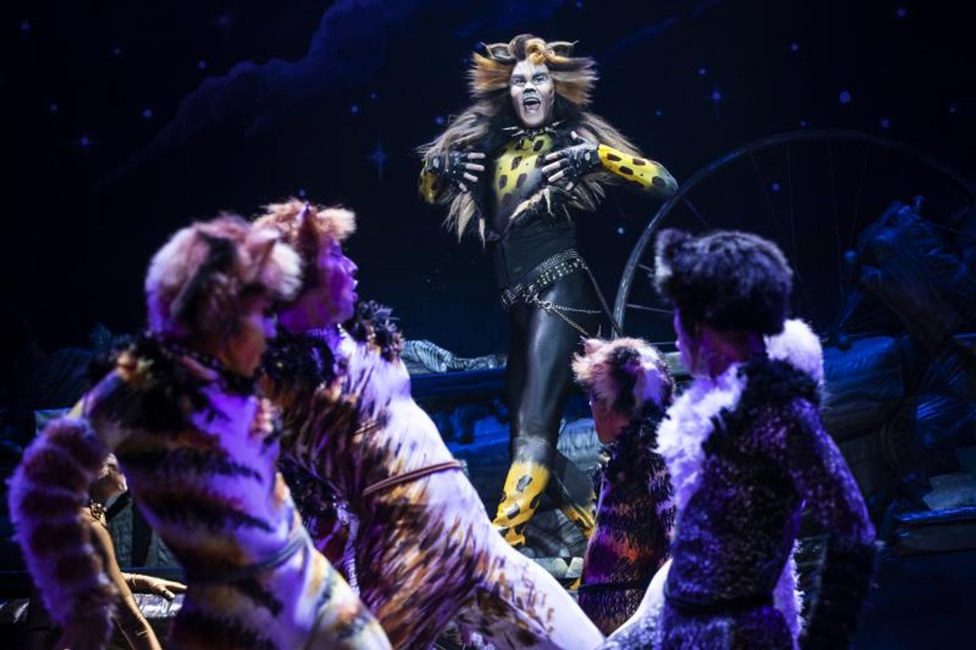 Review: Broadway Across Canada's Touring Production of CATS Proves Its Enduring Appeal Review: Broadway Across Canada's Touring Production of CATS Proves Its Enduring Appeal Image