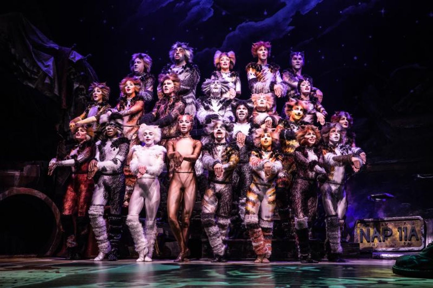 Review: Broadway Across Canada's Touring Production of CATS Proves Its Enduring Appeal  Image