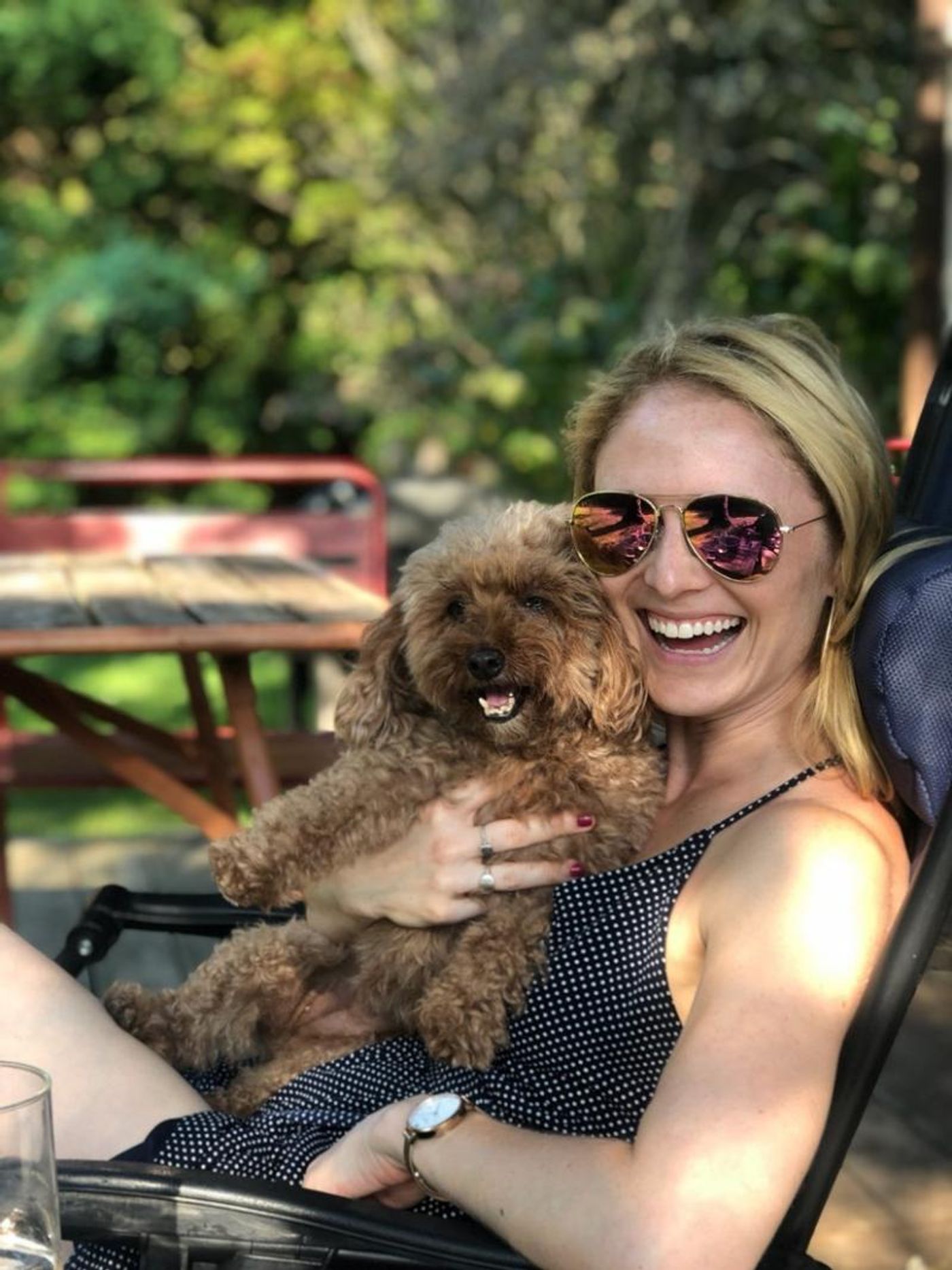 Broadway Stars and Their Pets Celebrate National Puppy Day!  Image