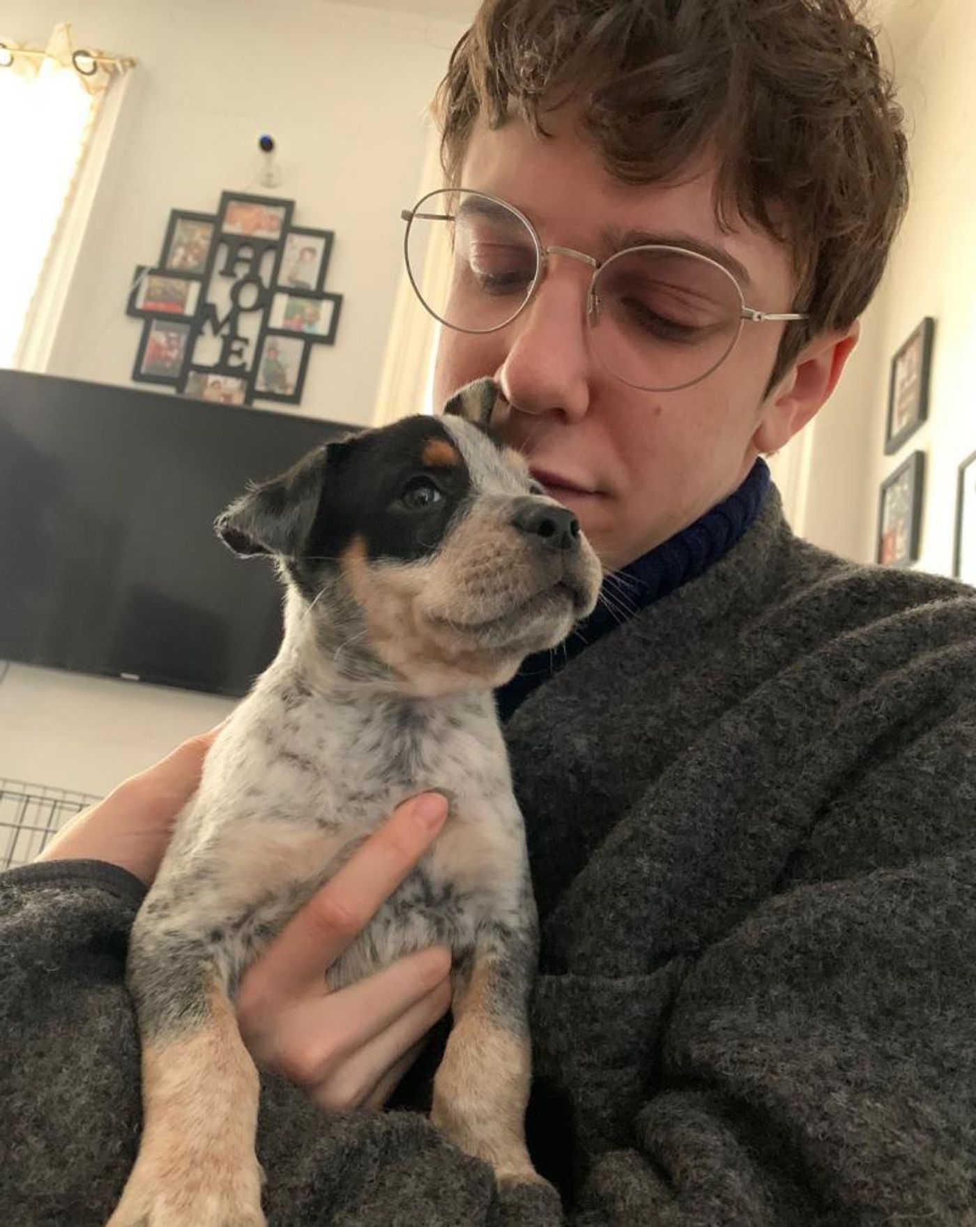 Broadway Stars and Their Pets Celebrate National Puppy Day!  Image