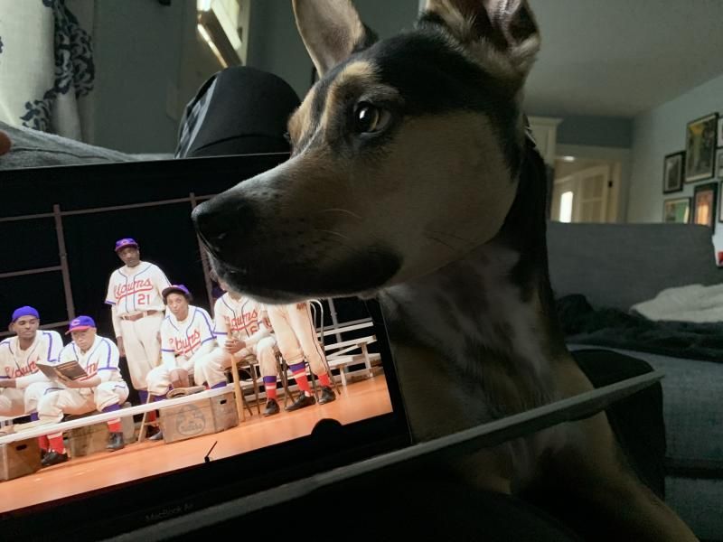 BWW Backstage Pets: MIKE SABLONE and Cooper  Image
