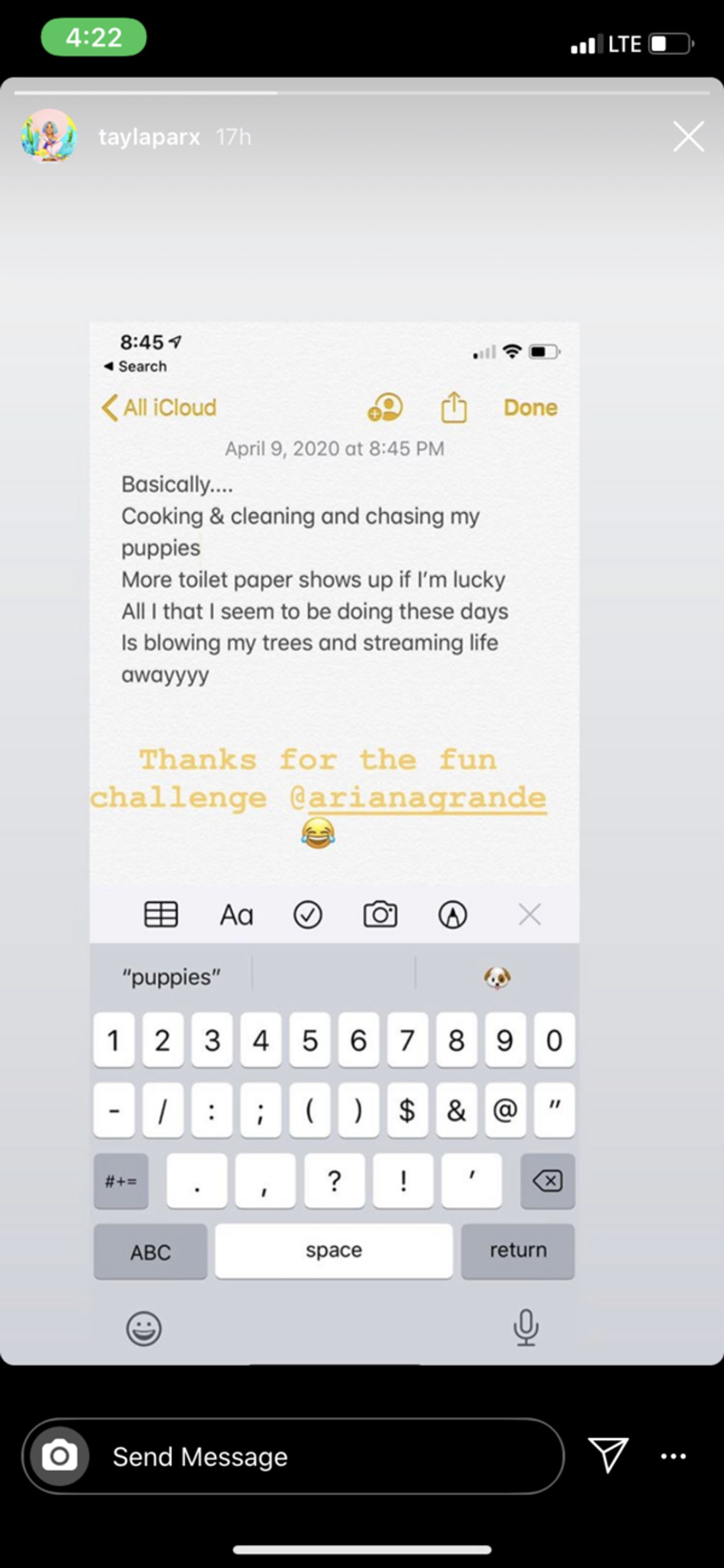 Ariana Grande Launches #QuarantineThings Parody Challenge Ariana Grande Launches #QuarantineThings Parody Challenge Image