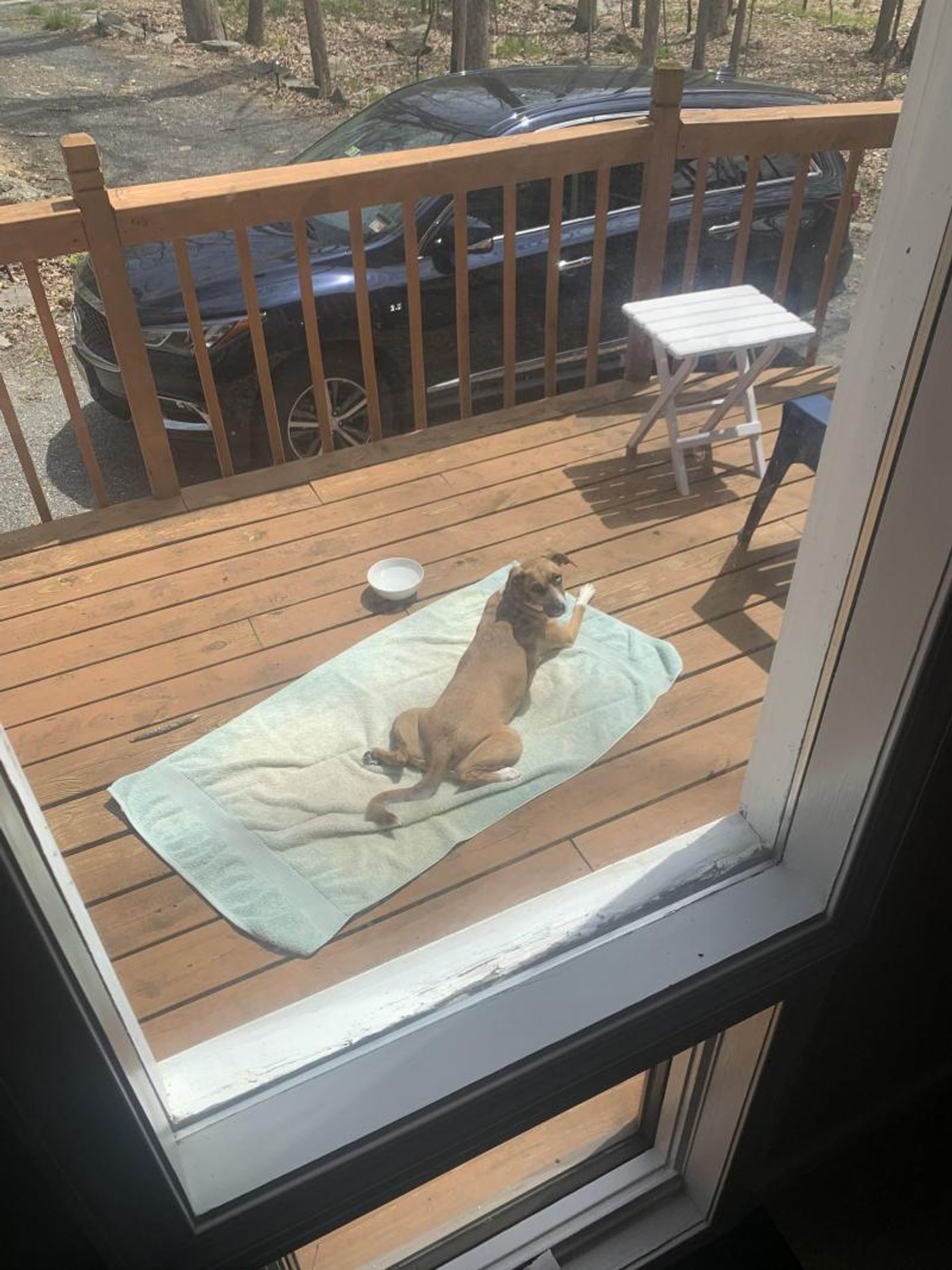 Interview: At Home With Travis Nesbitt  Image