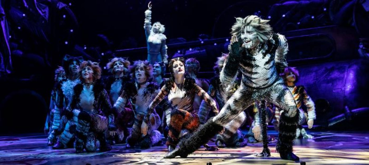 Feature: CATS IL MUSICAL IN STREAMING su You Tube Feature: CATS IL MUSICAL IN STREAMING su You Tube Image