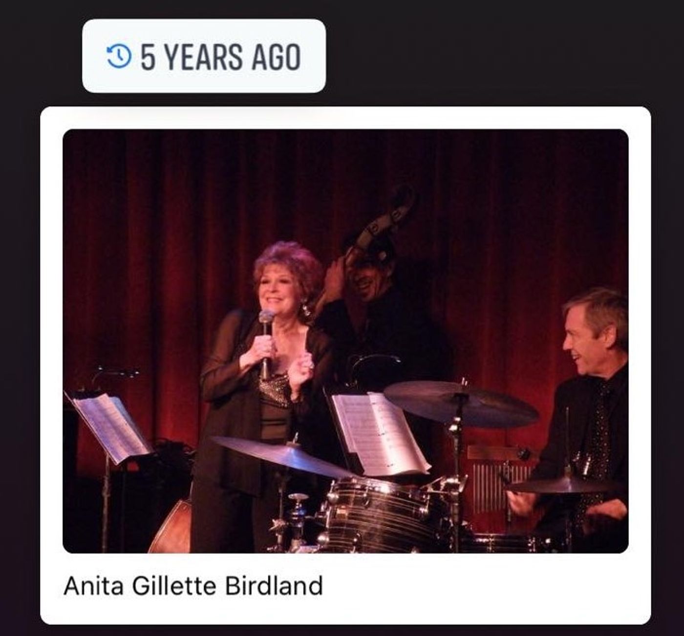 Interview: At Home With Anita Gillette  Image