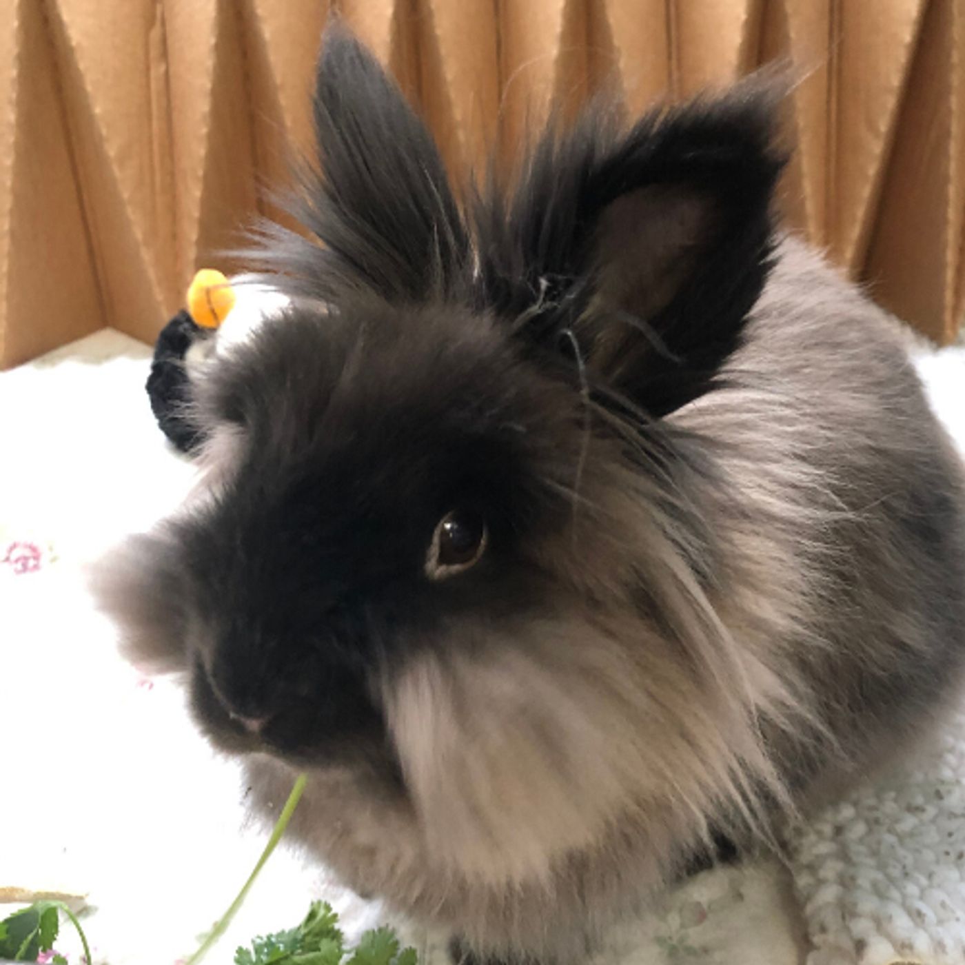 BWW Blog: Gift of Time - Part 3  Image