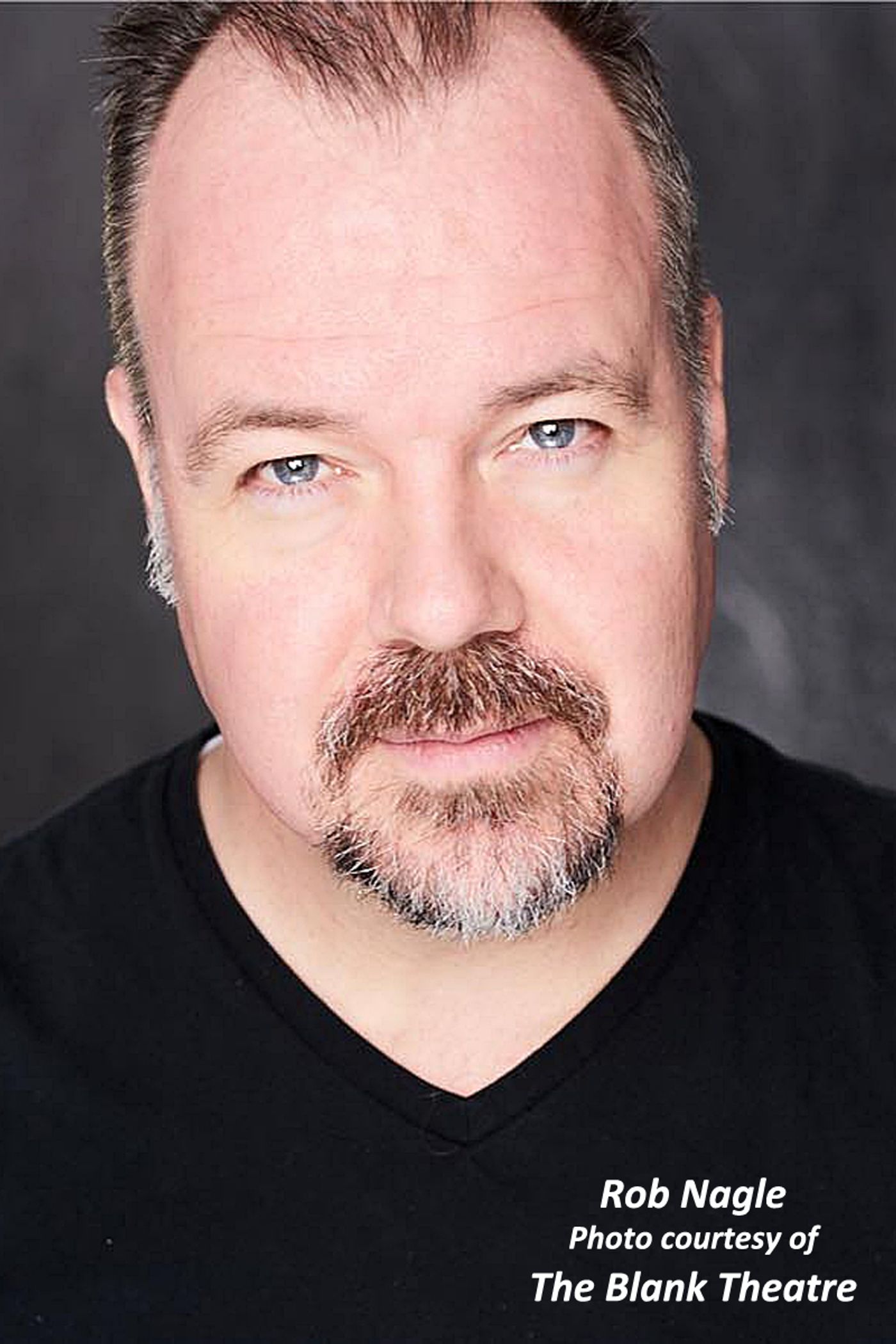 Review: Another Tour de Force From Rob Nagle in Virtual NIXON ON NIXON  Image