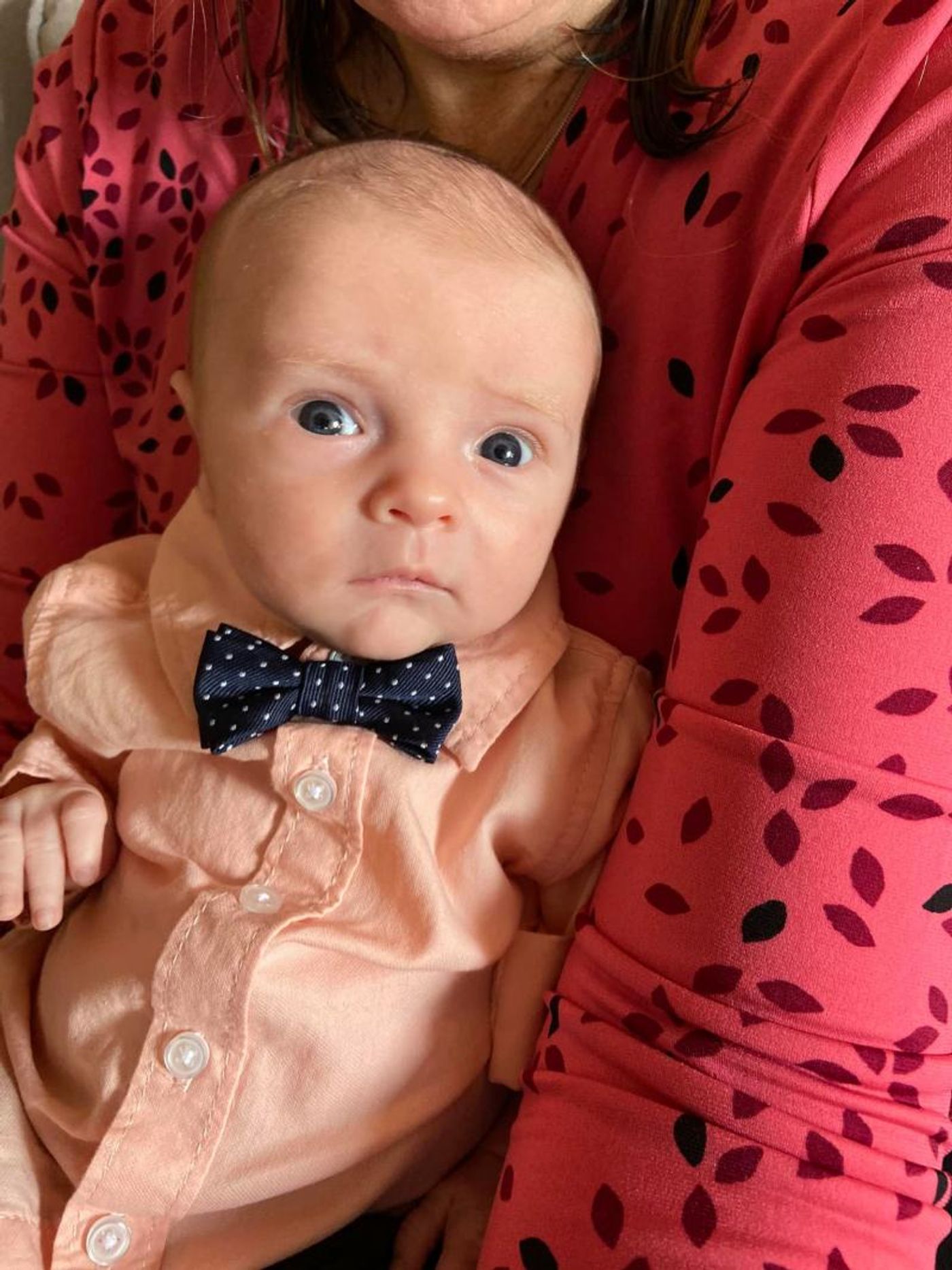 Interview: At Home With Susie Mosher And Her (Finally) Complete Family  Image