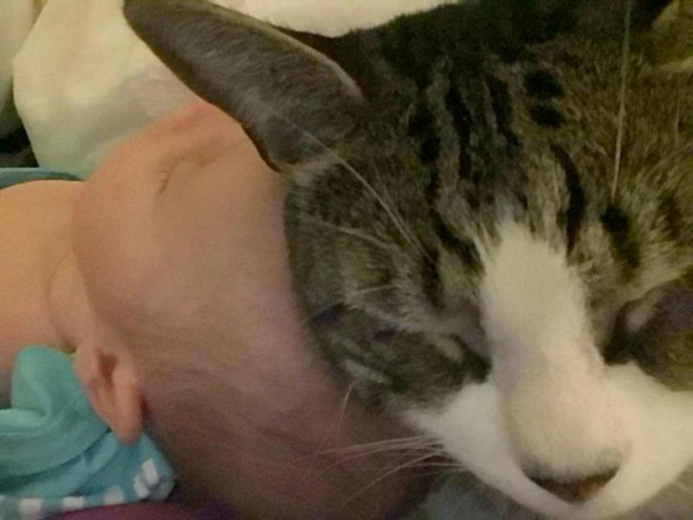 Interview: At Home With Susie Mosher And Her (Finally) Complete Family  Image