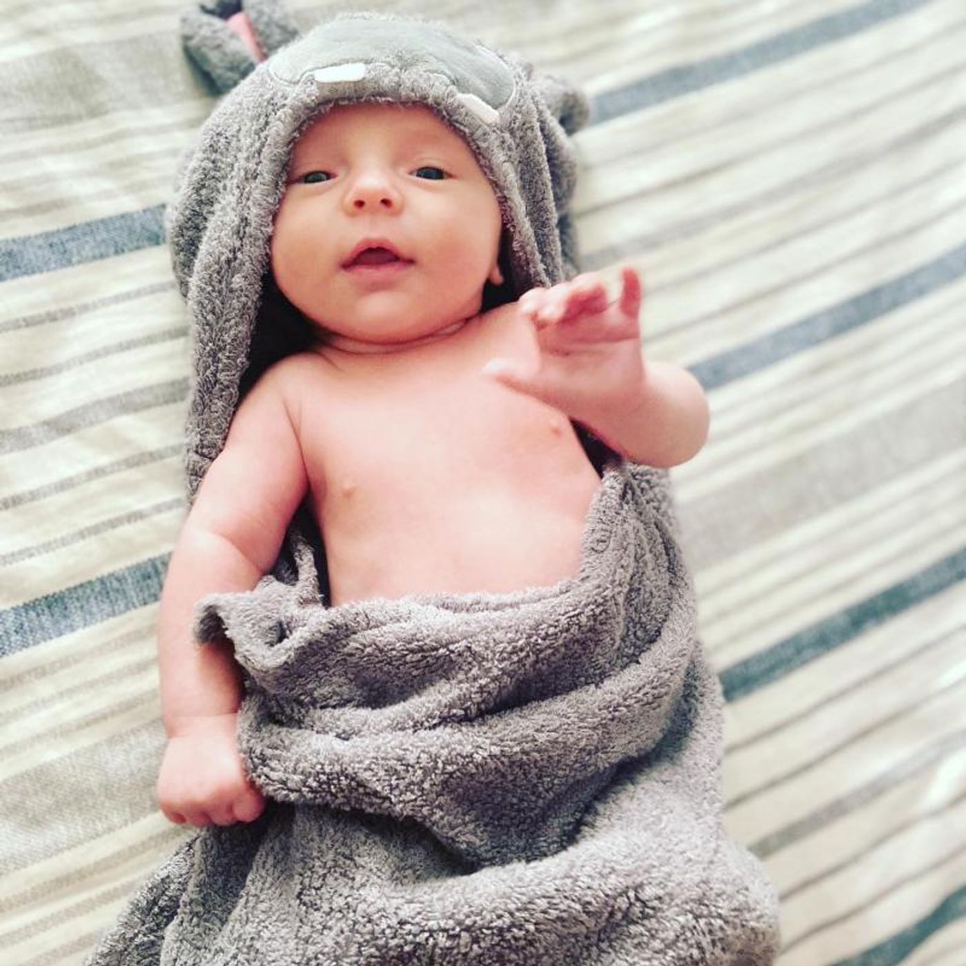 Interview: At Home With Susie Mosher And Her (Finally) Complete Family  Image