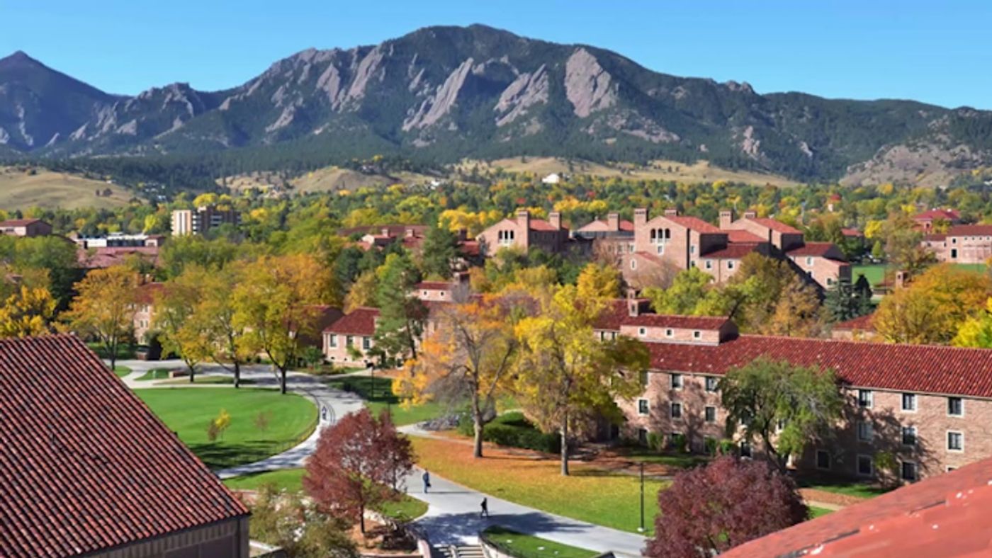 BWW Blog: How to Succeed in Business School Without Being a Theatre Major  Image