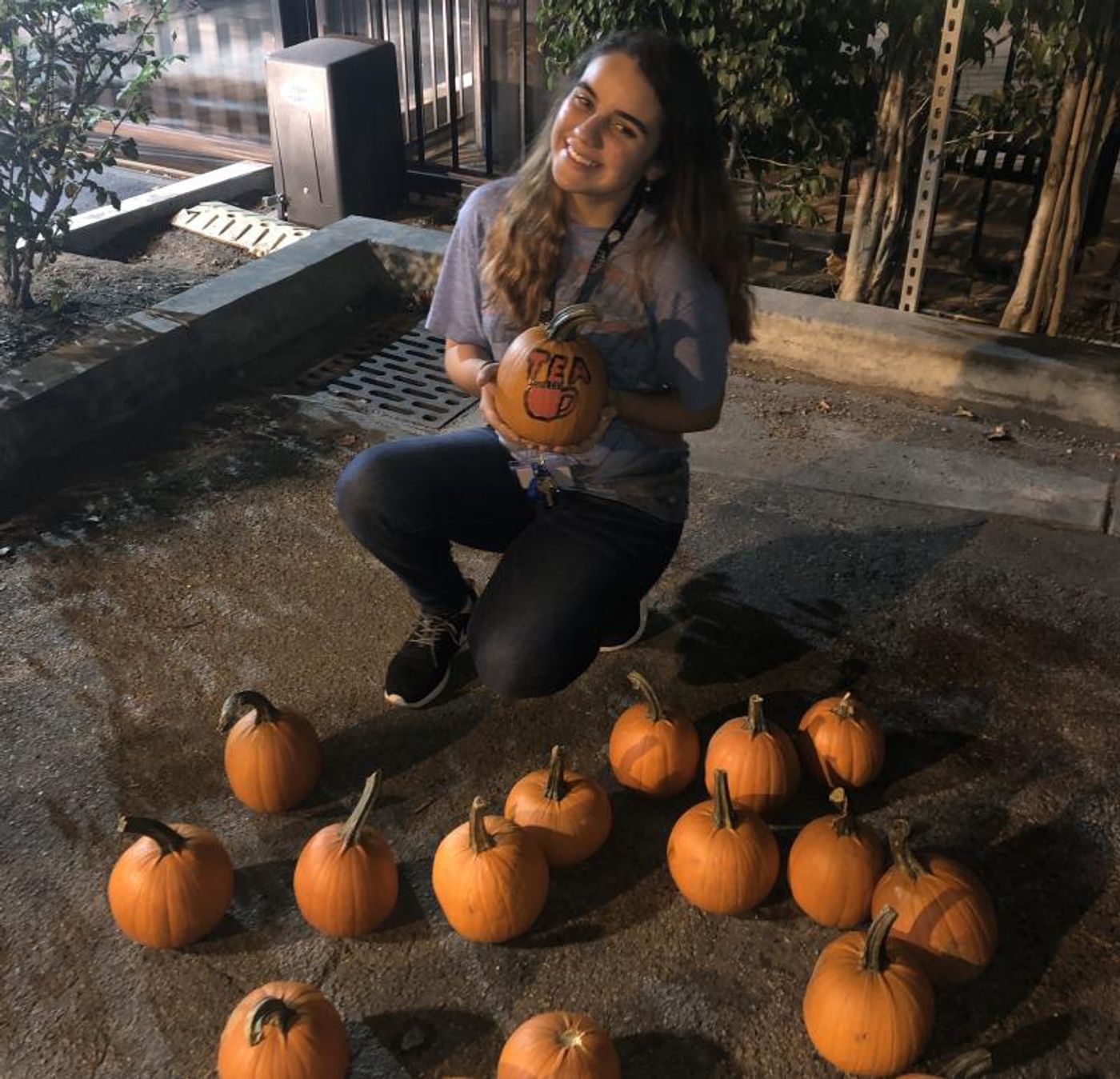 BWW Blog: What I Learned in My First Month at Theater School  Image