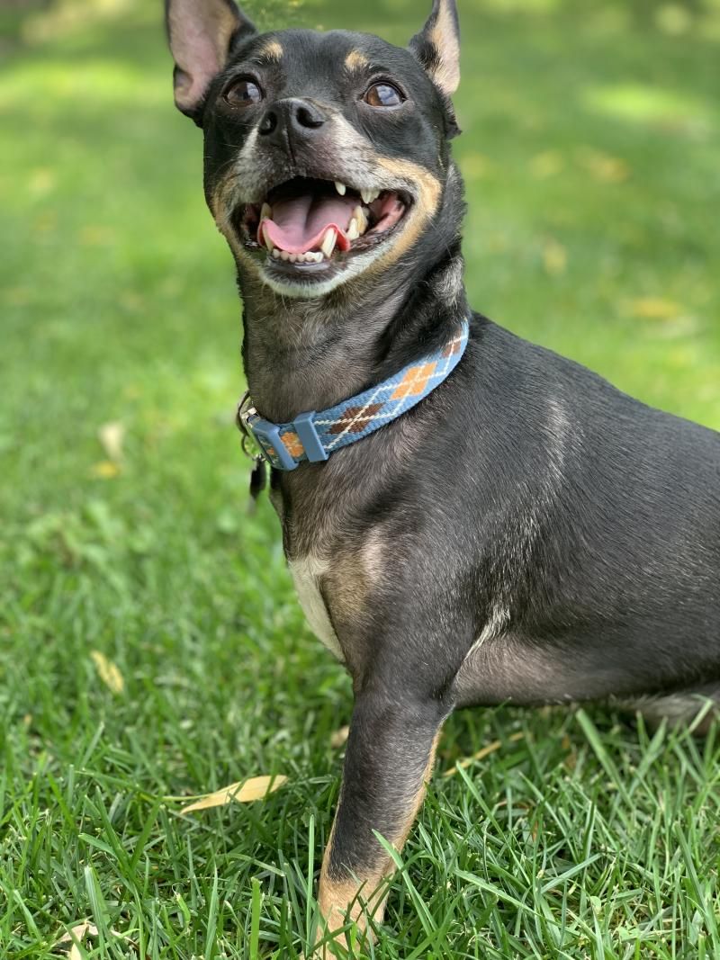 Interview: At Home With Marc Tumminelli and James Donegan of BAKING WITH MARC AND JAMES  Image