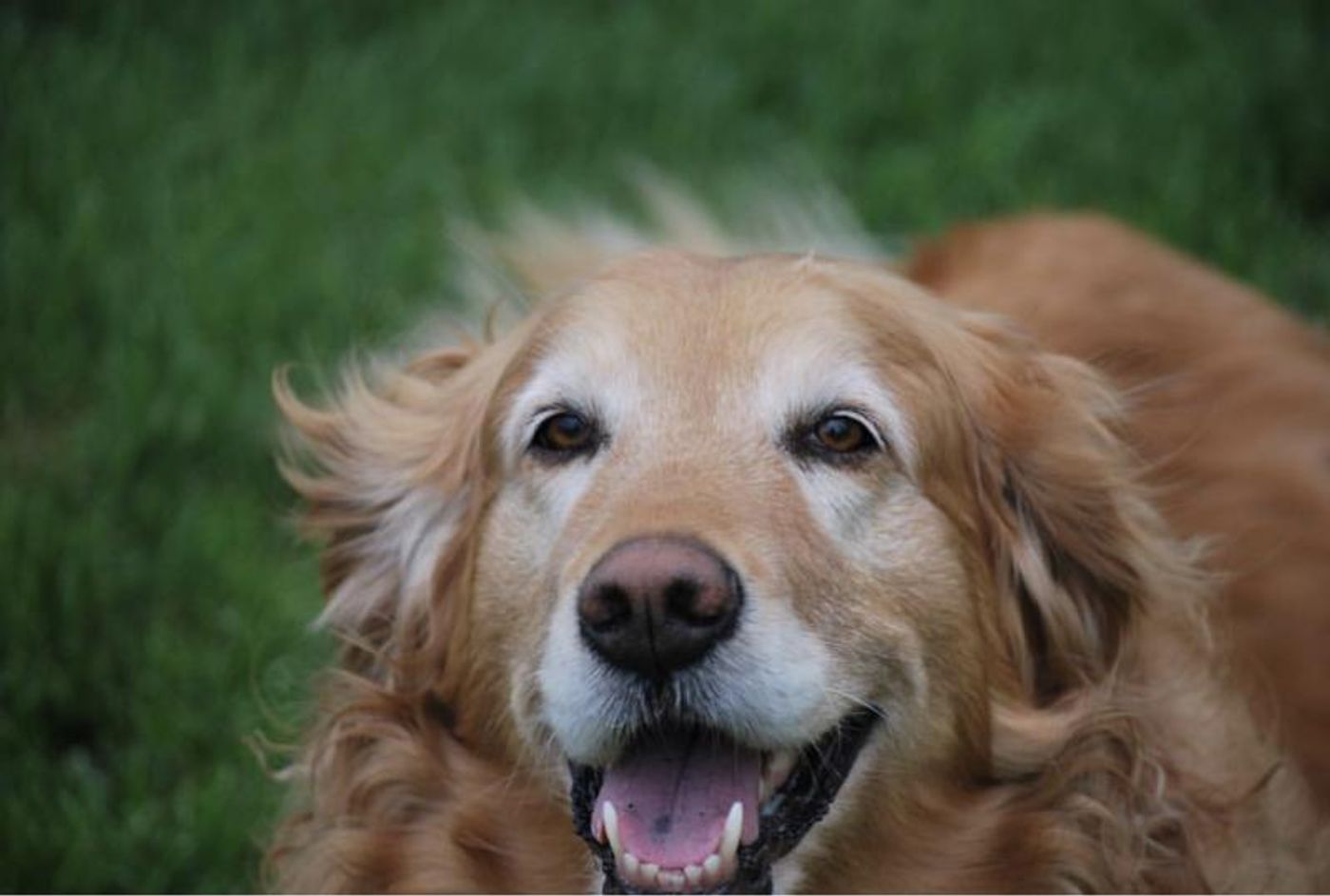 Interview: At Home With Cassi Mikat  Image