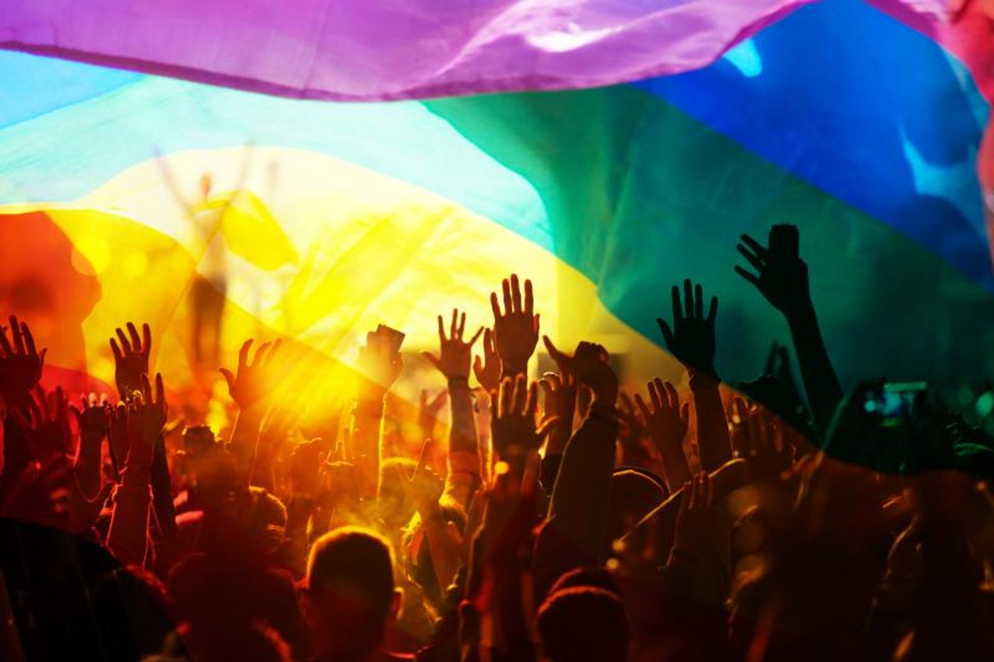 A 2020 Pride Guide- When & How to Celebrate Virtually! A 2020 Pride Guide- When & How to Celebrate Virtually! Image
