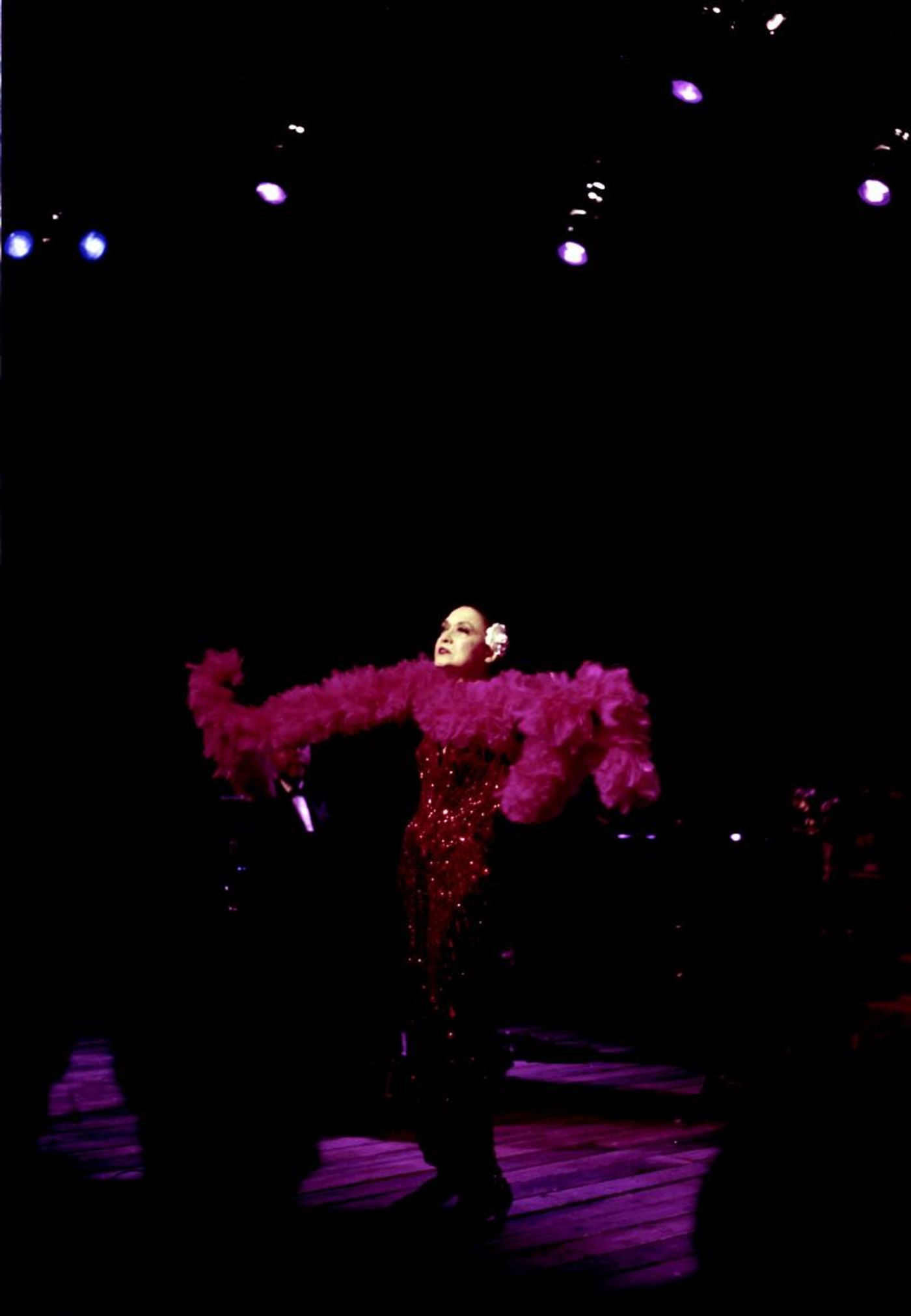 Feature: Protests, Parades, And Pride, Oh My!  Image