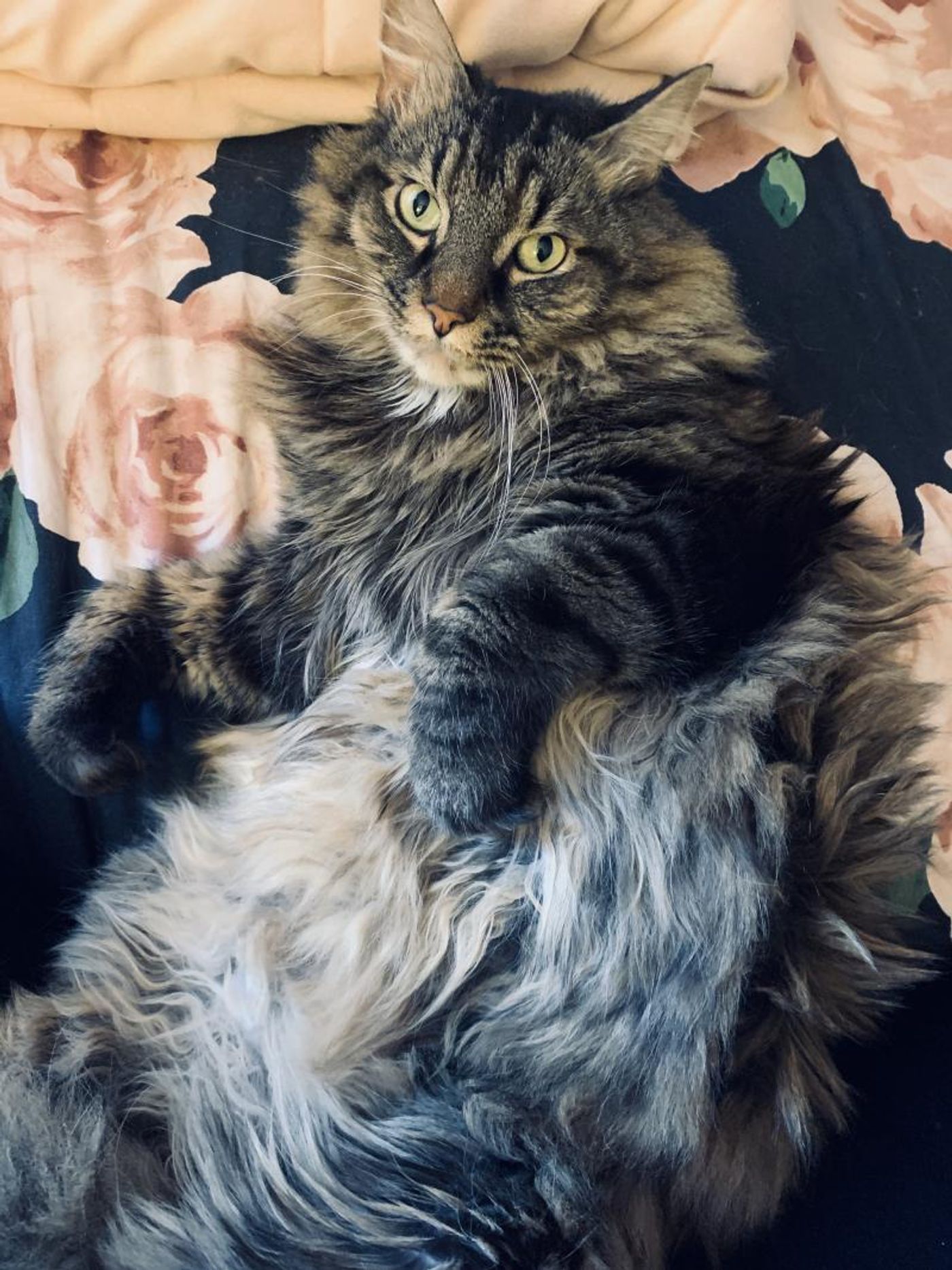 Interview: At Home With Hannah Jane Interview: At Home With Hannah Jane Image