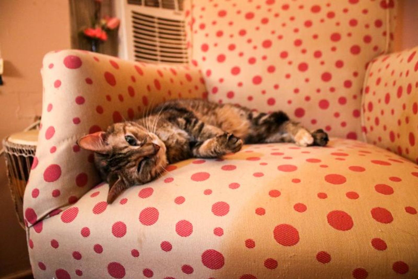 Interview: At Home With Hannah Jane Interview: At Home With Hannah Jane Image