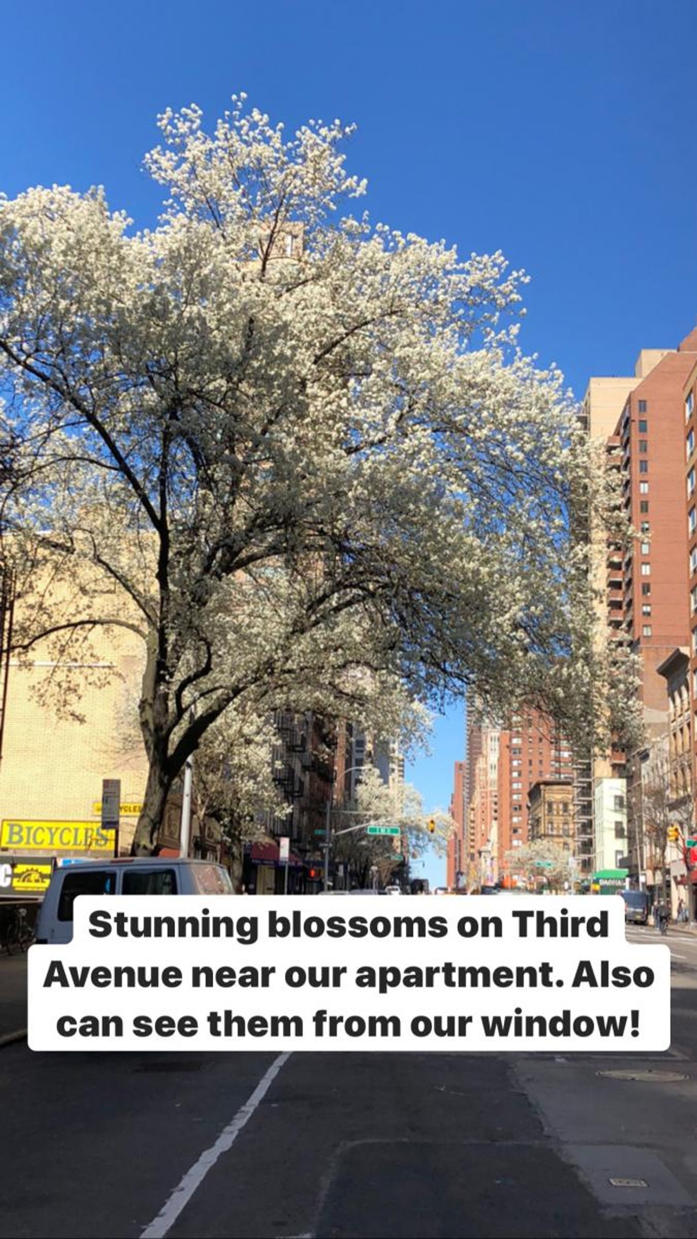 Interview: At Home With Natalie Douglas Interview: At Home With Natalie Douglas Image