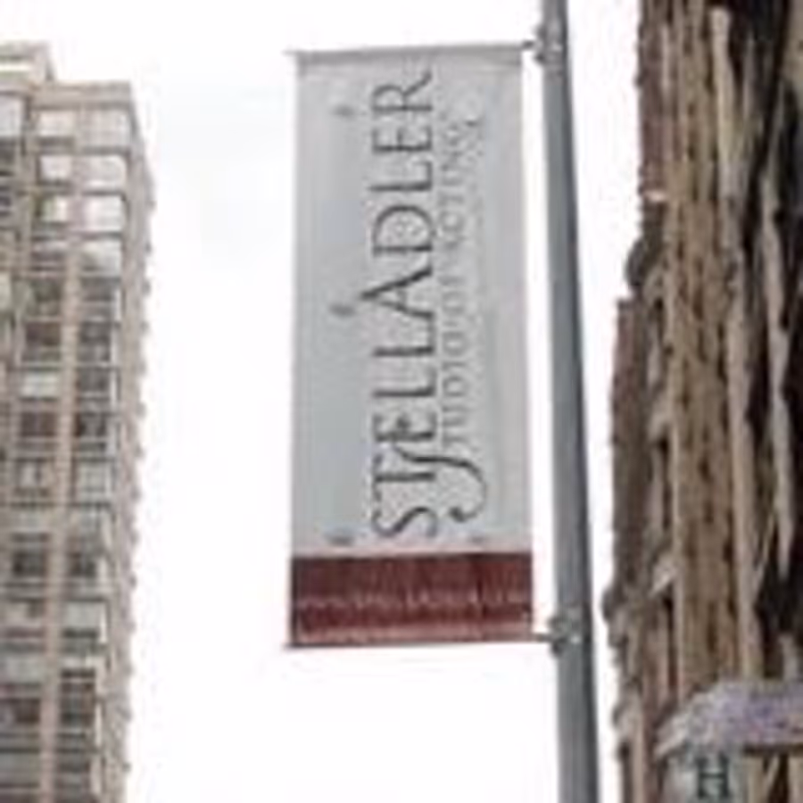 BWW Blog: My Summer at The Stella Adler Self-Generated Theater Intensive Image