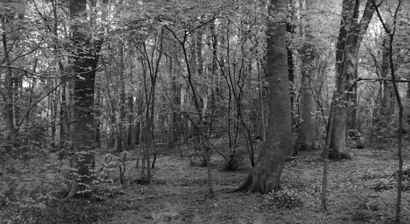 Guest Blog: Rohan Candappa On The Lockdown Theatre Company  Image