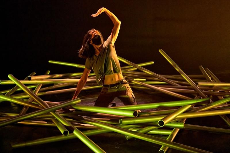 Review: DIAVOLO Architechture in Motion Presents THIS IS ME: LETTERS FROM THE FRONT LINES  Image