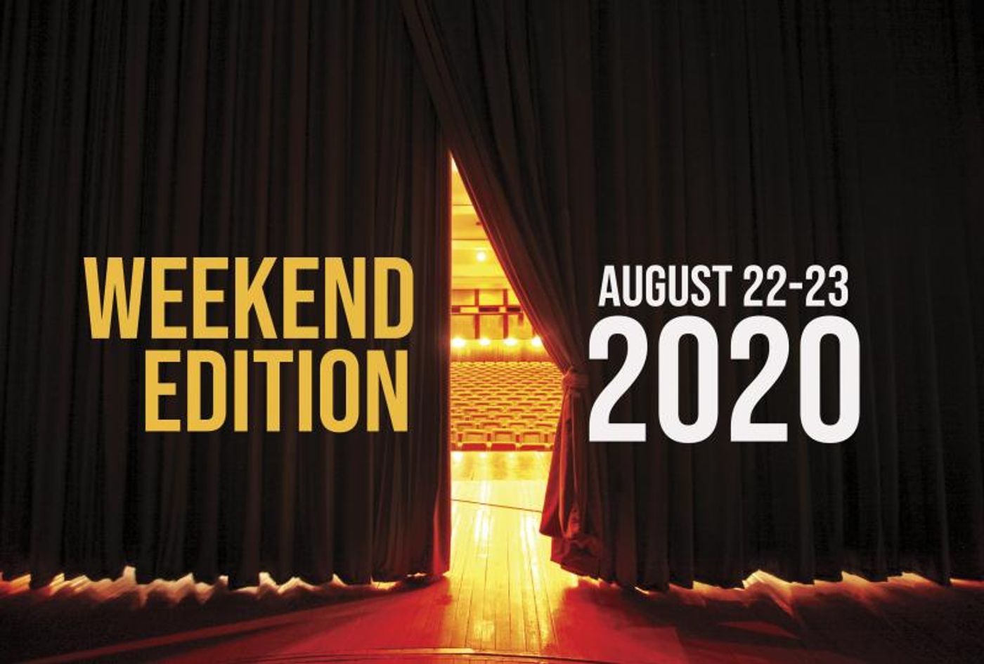 Virtual Theatre This Weekend: August 22-23- with Terrence Mann, Andrea Martin and More!  Image