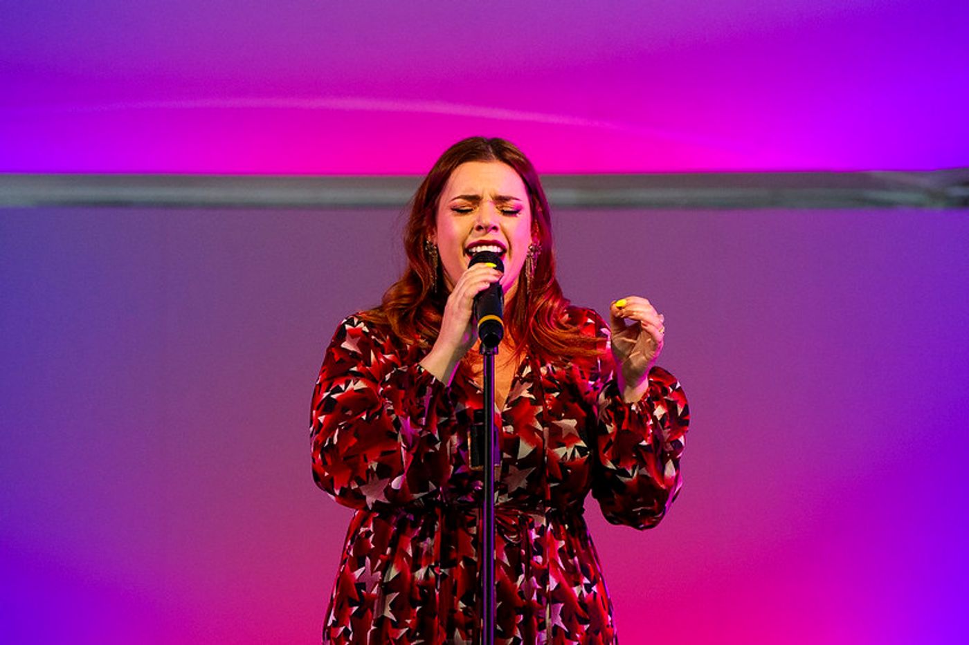 Review: THE HILLS ARE ALIVE WITH RODGERS & HAMMERSTEIN at Barrington Stage Company Review: THE HILLS ARE ALIVE WITH RODGERS & HAMMERSTEIN at Barrington Stage Company Image