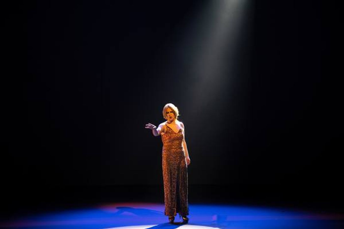 Photo Flash: LA CAGE AUX FOLLES Premieres in Israel A Year Ago Today  Image