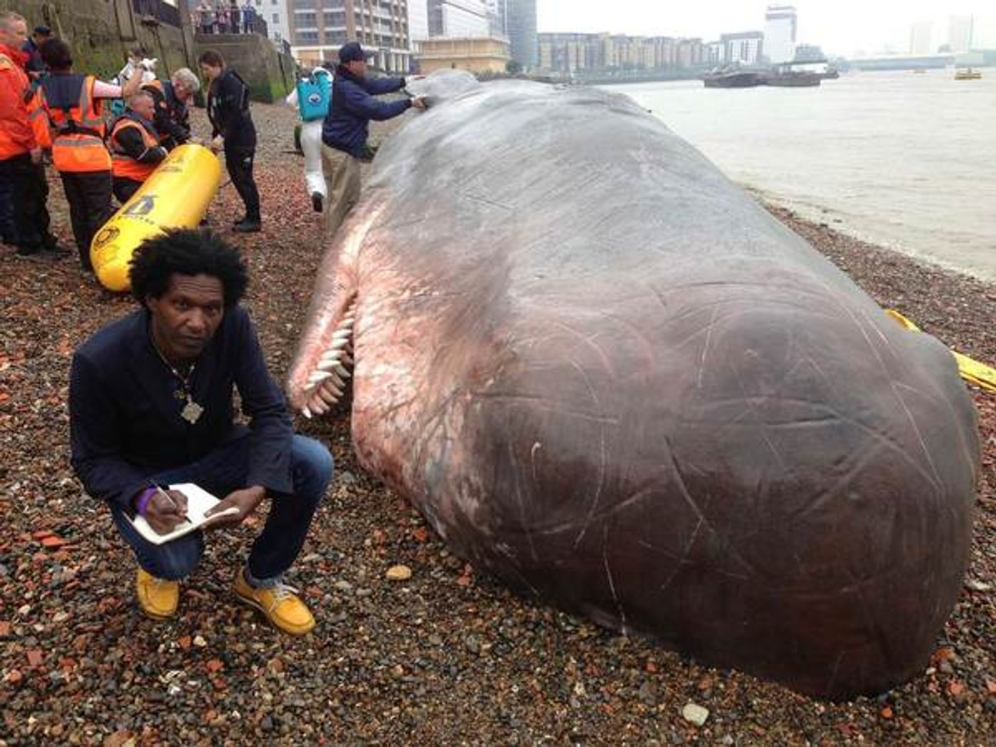 Photo Flash: Greenwich+Docklands International Festival Opens Today; Take a Look Back at Festivals Past!  Image