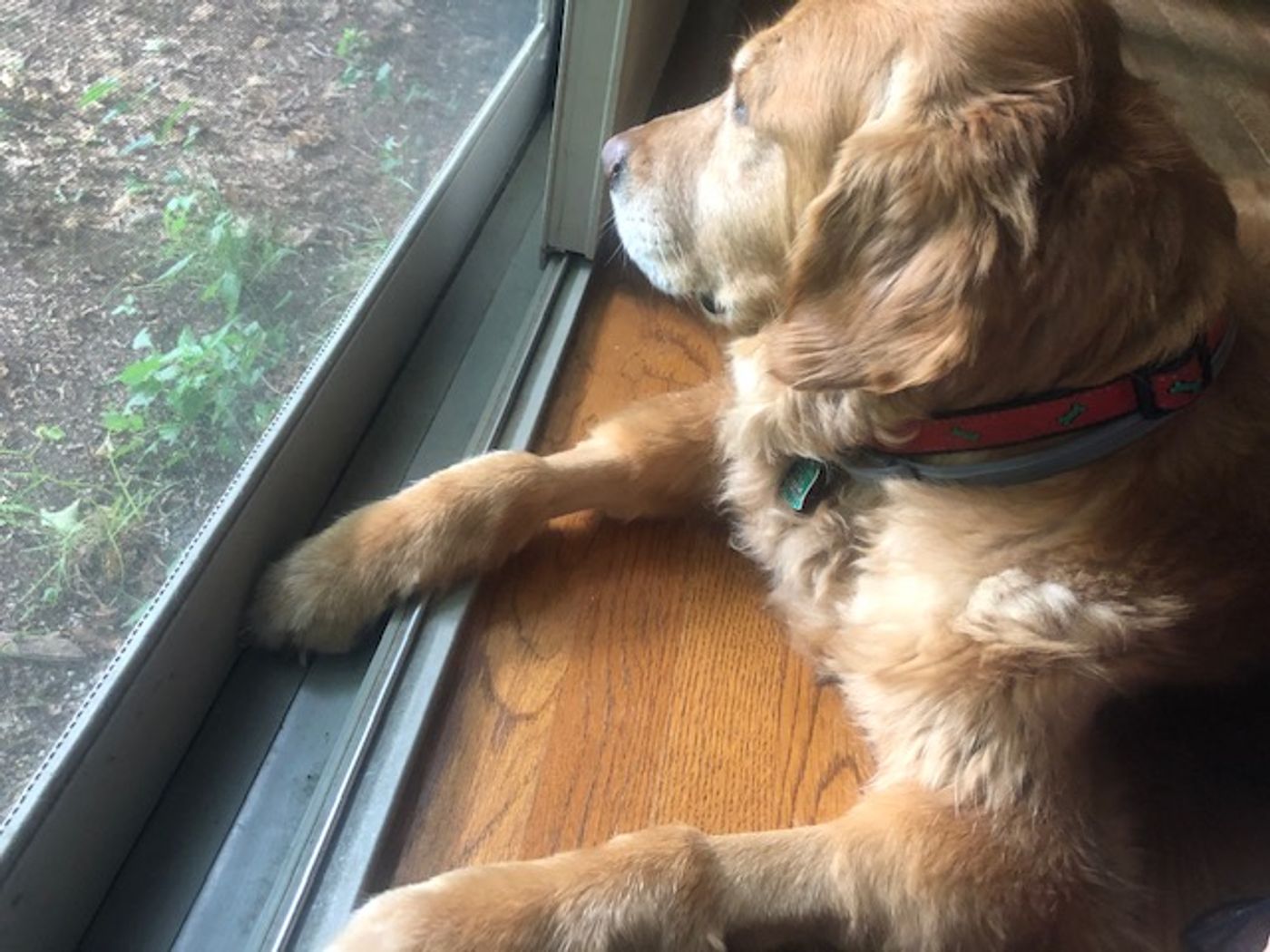 BWW Blog: From a Small Town to the Big City and Back Again - Choosing a Leave of Absence  Image