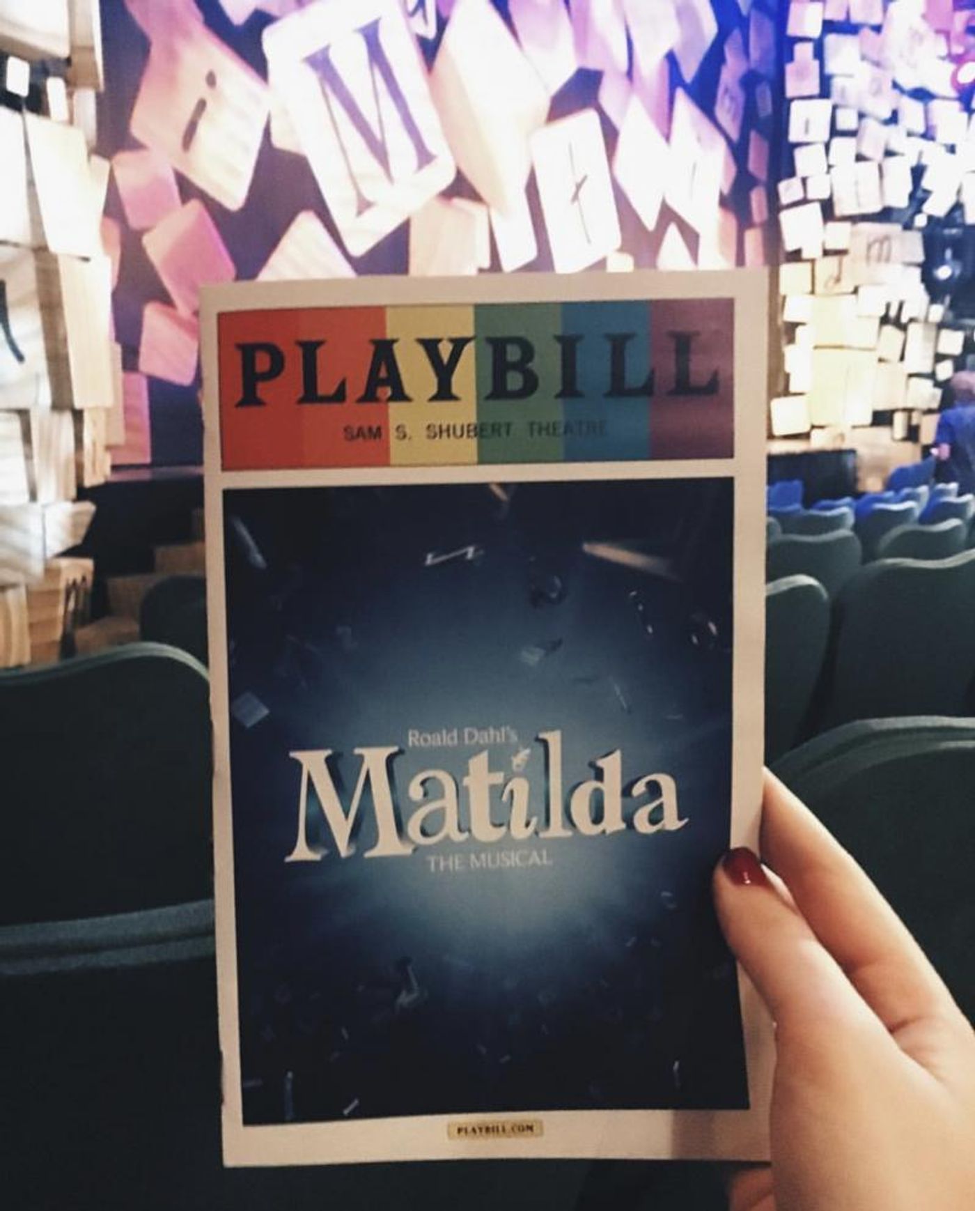 BWW Blog: My Journey with Theatre BWW Blog: My Journey with Theatre Image