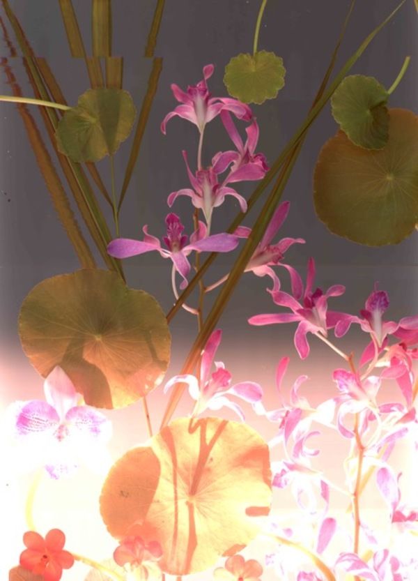 Photo Flash: Miami Design District Unveils Larger than Life Installation by Cristina Lei Rodriguez  Image