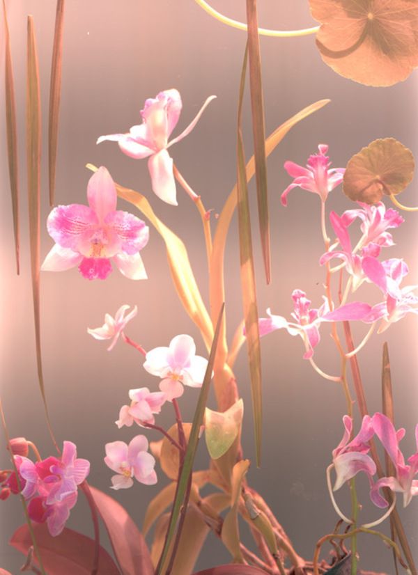 Photo Flash: Miami Design District Unveils Larger than Life Installation by Cristina Lei Rodriguez  Image