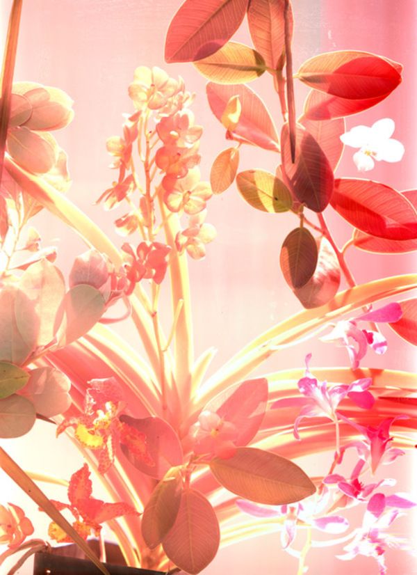 Photo Flash: Miami Design District Unveils Larger than Life Installation by Cristina Lei Rodriguez  Image