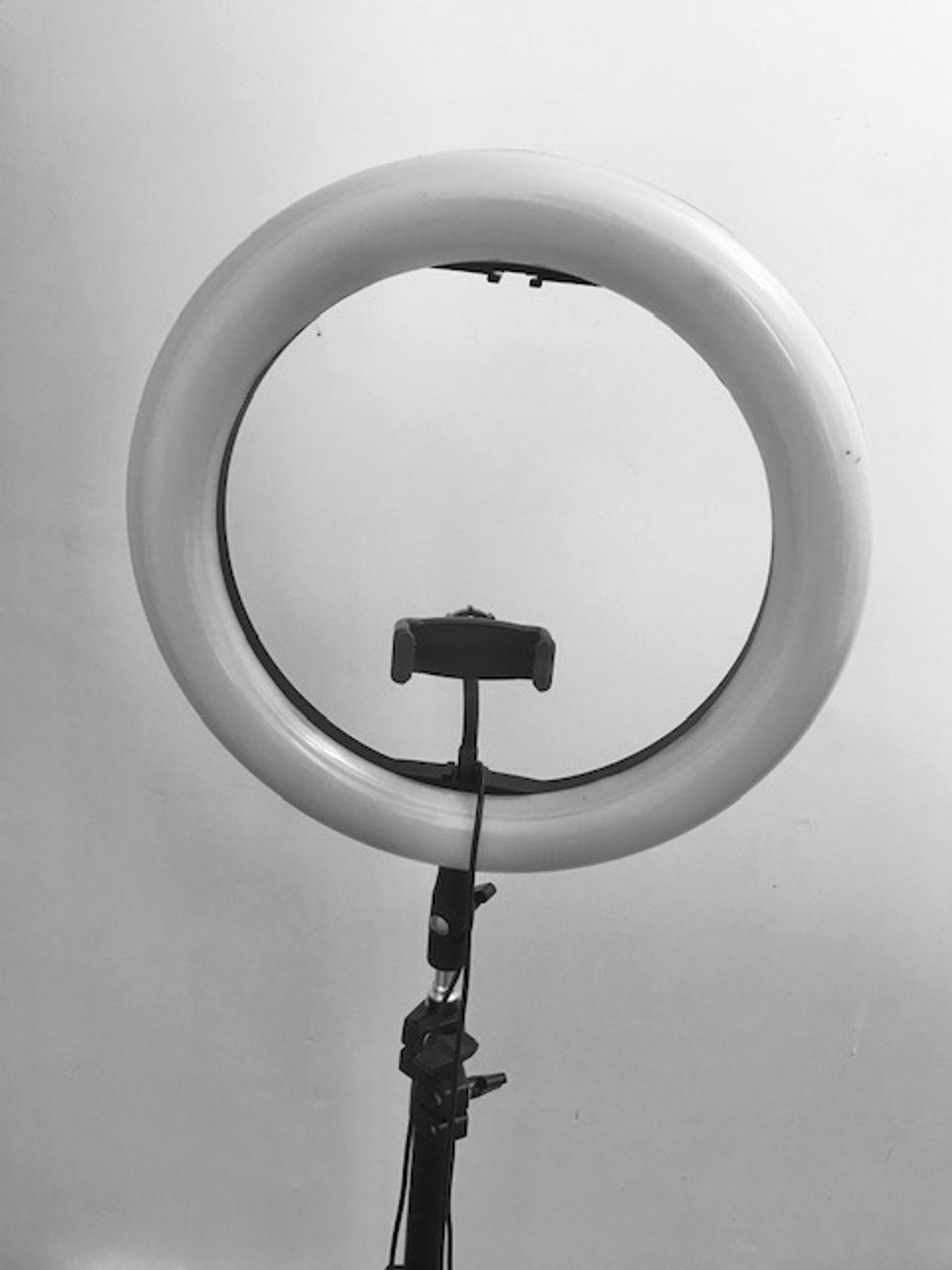 BWW Blog: Prepping for An Online Audition  Image