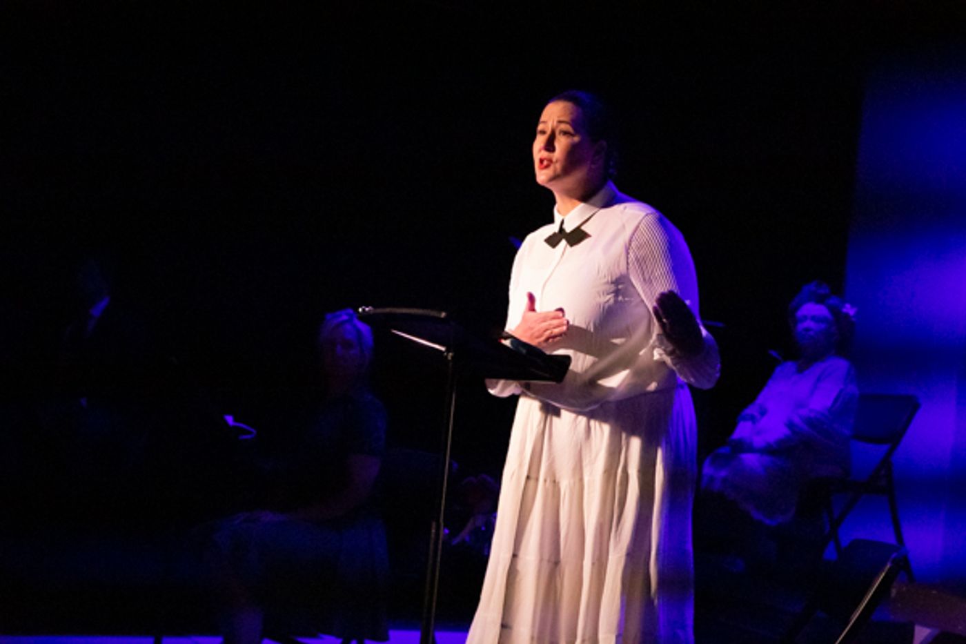 Photo Coverage: First look at Red Herring & Tipping Point Theatre Co's SOMETHING TO VOTE FOR Photo Coverage: First look at Red Herring & Tipping Point Theatre Co's SOMETHING TO VOTE FOR Image