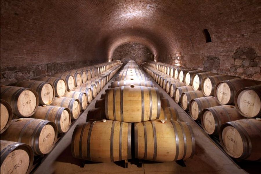 BODEGAS CARO-Wines You Should Know About Image
