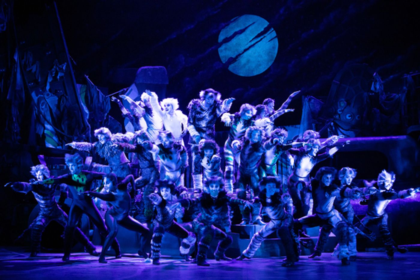 Photo Flash: Get a First Look at CATS in South Korea, Starring Joanna Ampil  Image