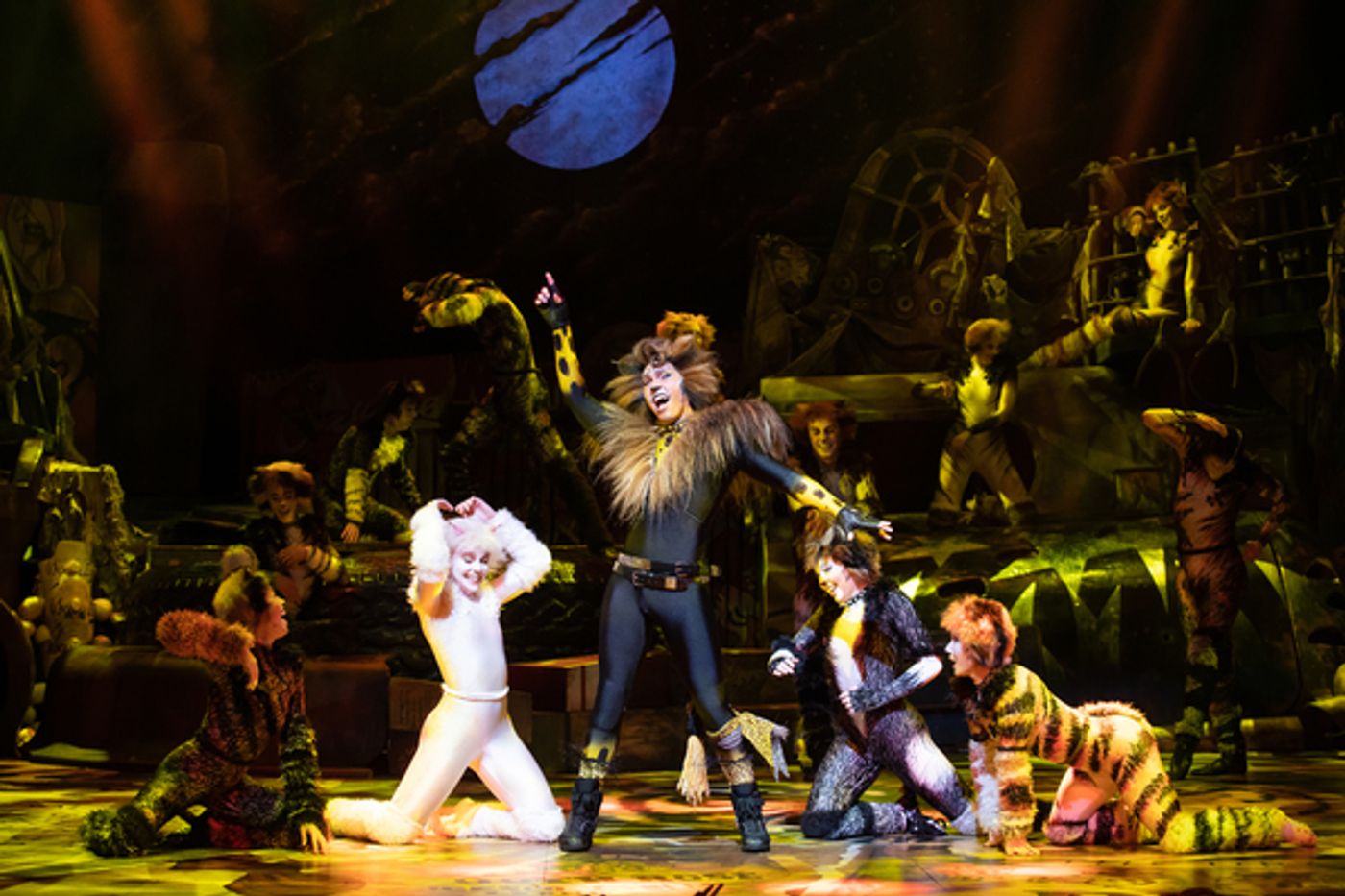 Photo Flash: Get a First Look at CATS in South Korea, Starring Joanna Ampil  Image