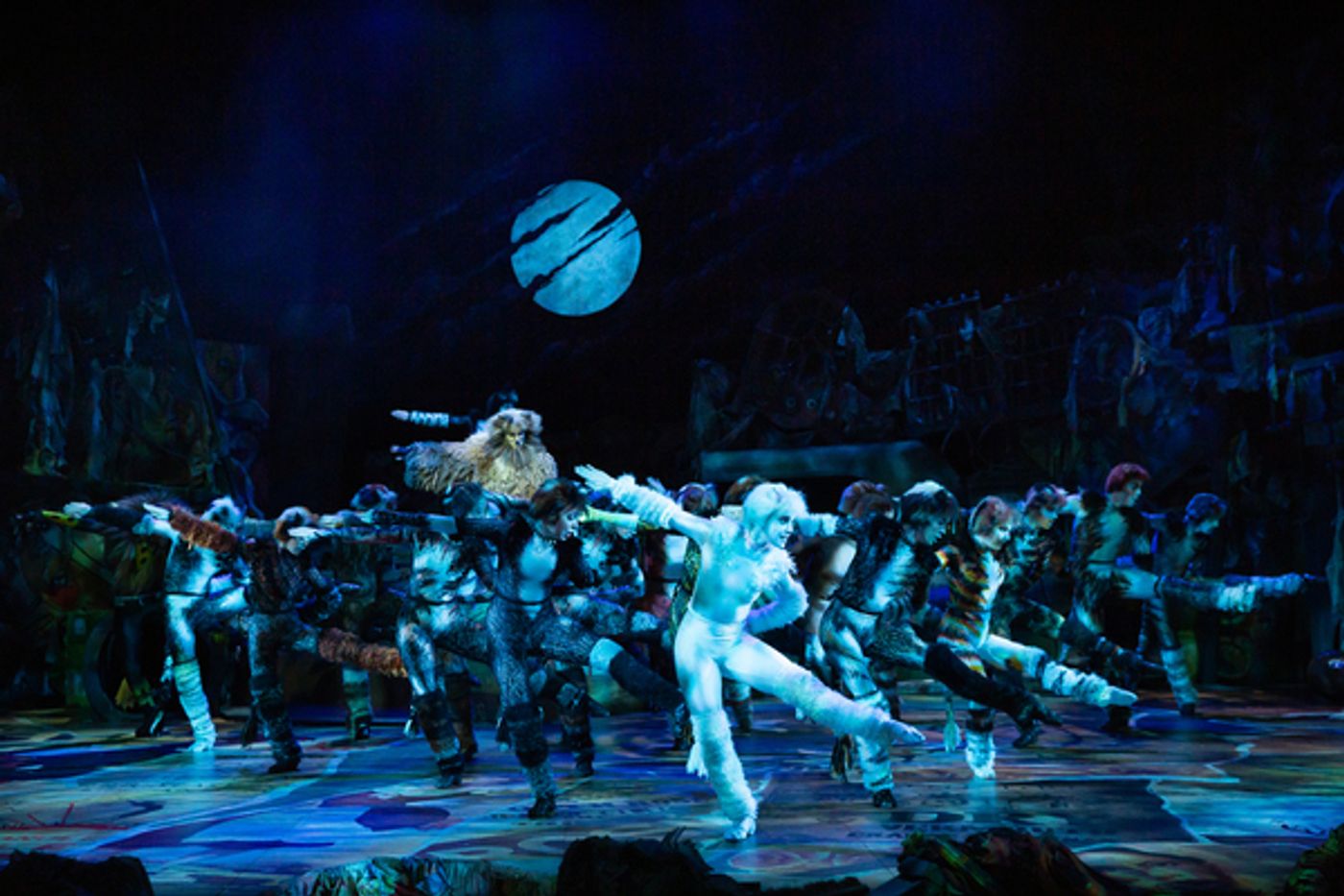 Photo Flash: Get a First Look at CATS in South Korea, Starring Joanna Ampil  Image