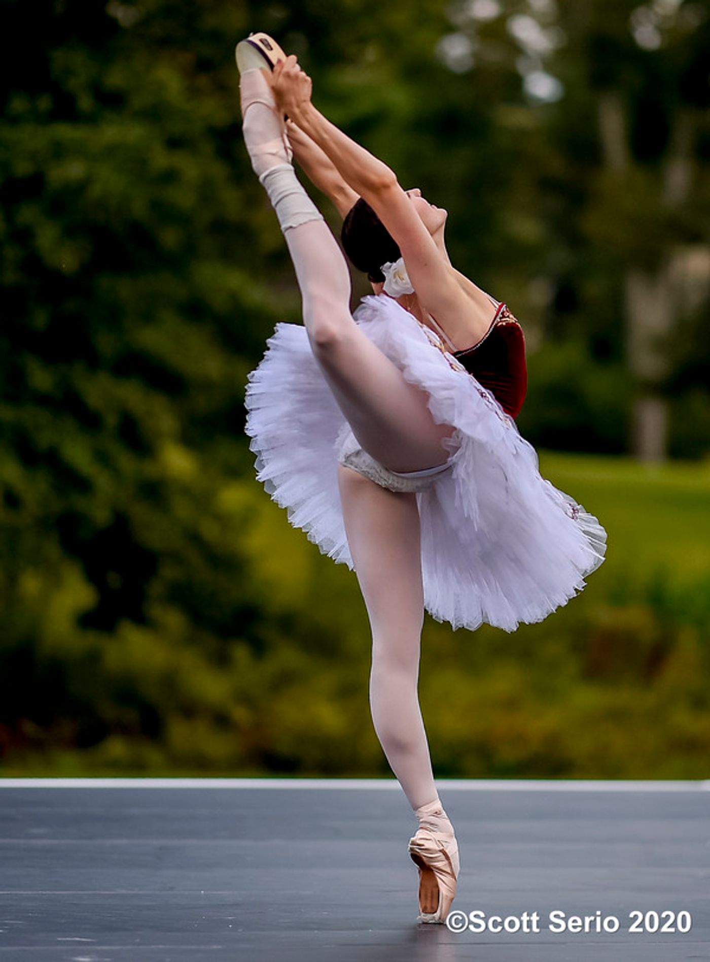 BWW Previews: INAUGURAL FALL GATHERING OF DANCE at Red Rose Farm BWW Previews: INAUGURAL FALL GATHERING OF DANCE at Red Rose Farm Image