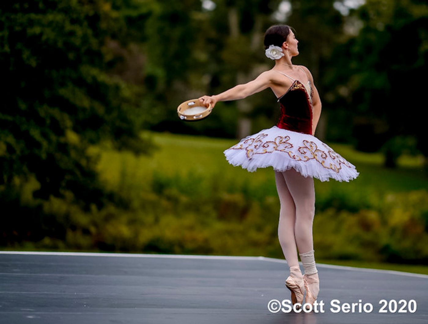BWW Previews: INAUGURAL FALL GATHERING OF DANCE at Red Rose Farm BWW Previews: INAUGURAL FALL GATHERING OF DANCE at Red Rose Farm Image