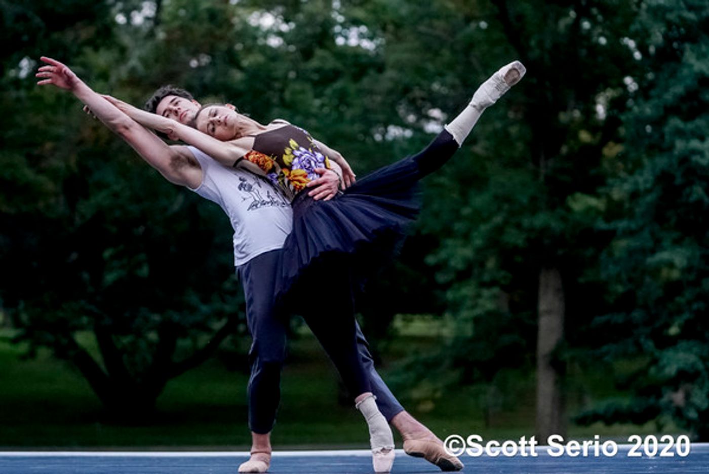 BWW Previews: INAUGURAL FALL GATHERING OF DANCE at Red Rose Farm BWW Previews: INAUGURAL FALL GATHERING OF DANCE at Red Rose Farm Image