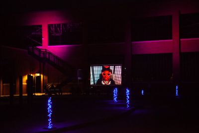 Projected video stories in FIRE FLOWERS AND A TIME MACHINE // FLORAS DE FUEGO Y UNA M Photo