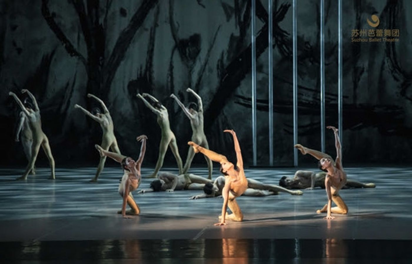 Photo Flash: Glen Tetley Legacy Completes its First Virtual Ballet Staging THE RITE OF SPRING  Image